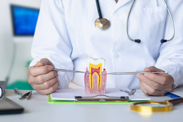 Best Emergency Treatment for Dental Infections or Abscesses in Beechwood Village, KY